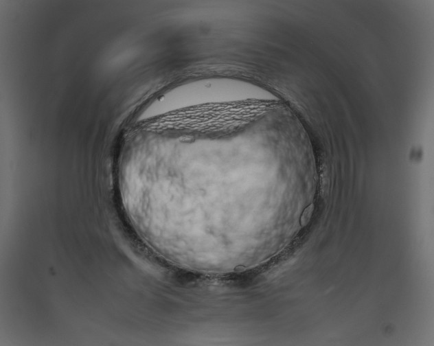 X0000092260254200710121345