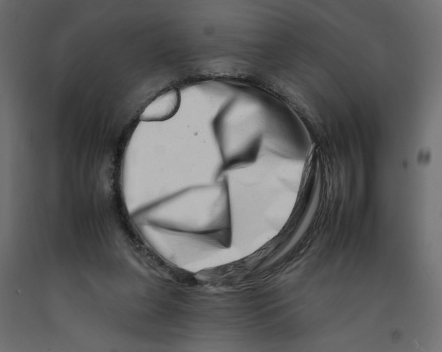 X0000092260255200710121345