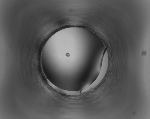 X0000092260256200710121345