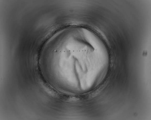 X0000092260257200710121345