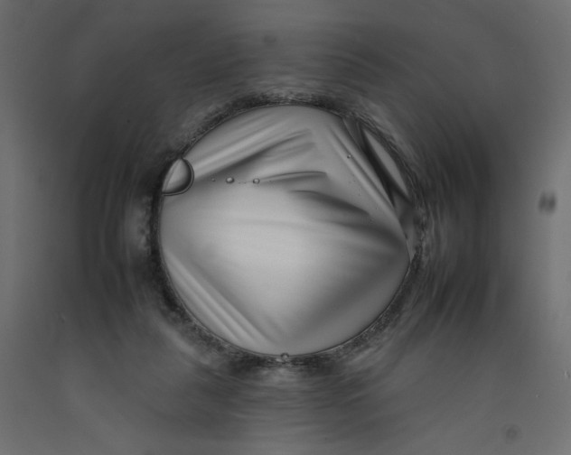 X0000092260259200710121345