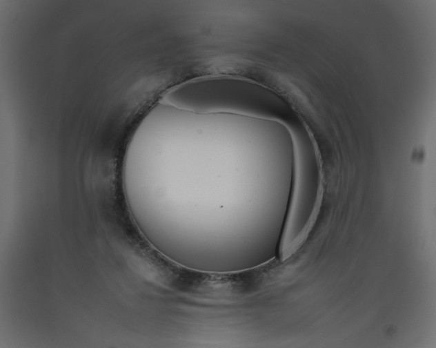 X0000092260260200710121345