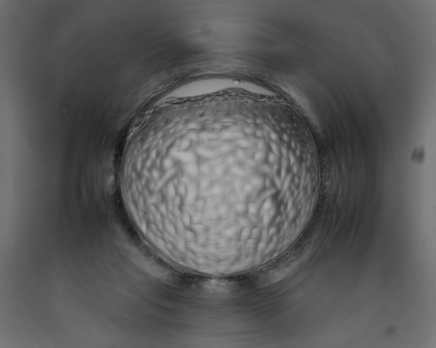 X0000092260261200710121345