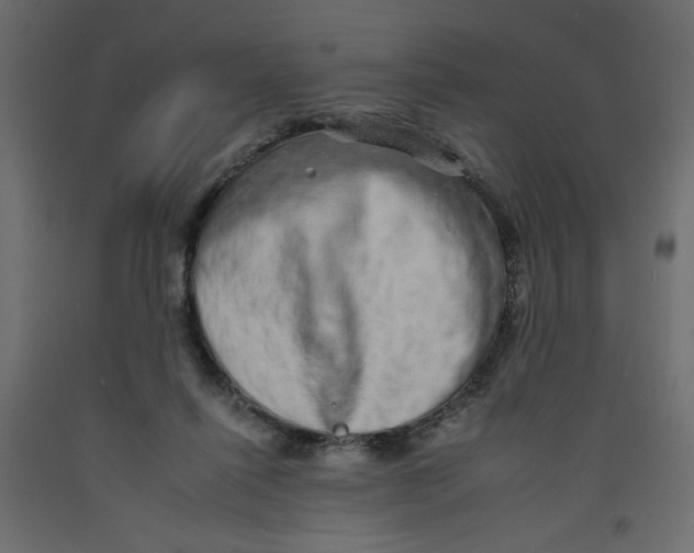 X0000092260262200710121345