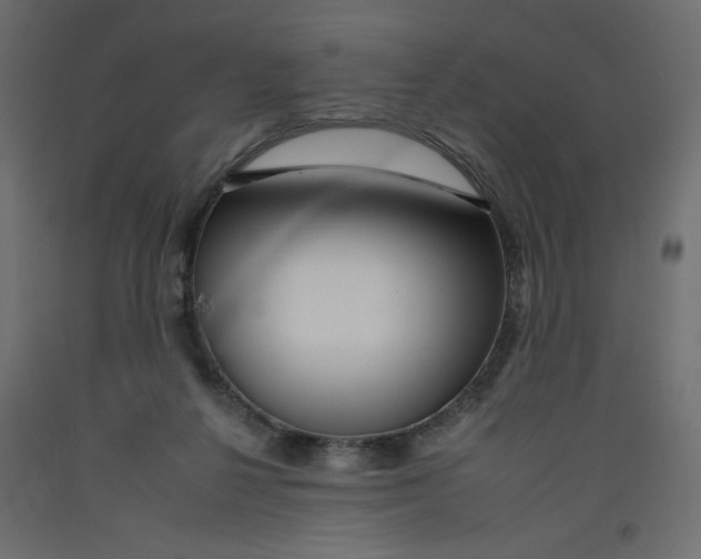 X0000092260264200710121345