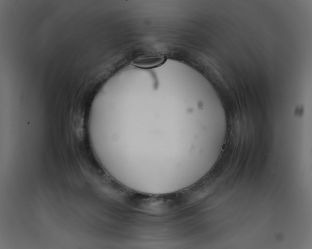 X0000092260267200710121345