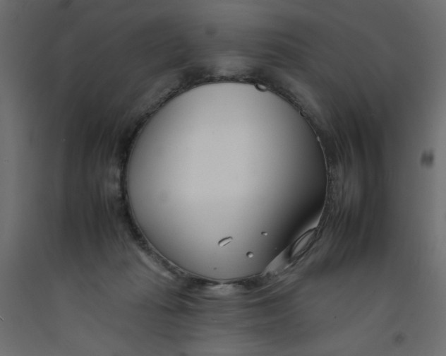 X0000092260269200710121345