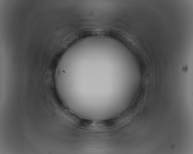 X0000092260270200710121345