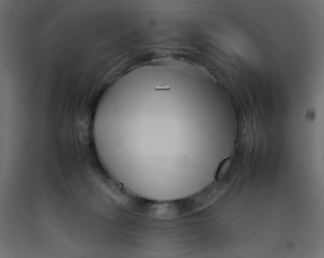 X0000092260275200710121345