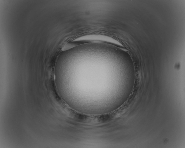 X0000092260276200710121345