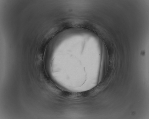 X0000092260278200710121345