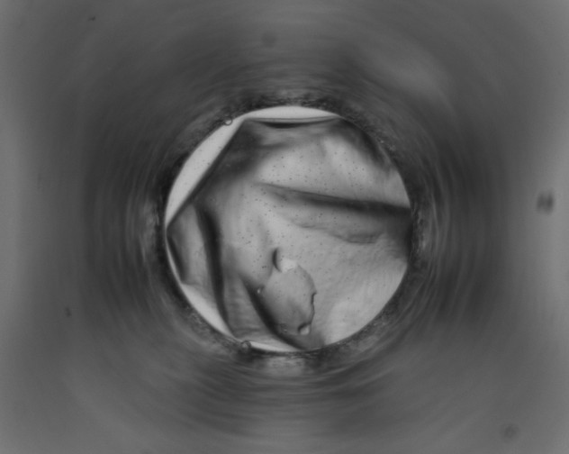 X0000092260279200710121345