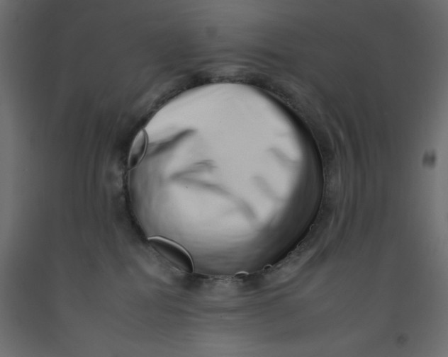 X0000092260282200710121345