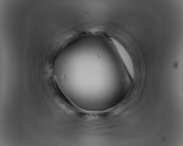 X0000092260284200710121345