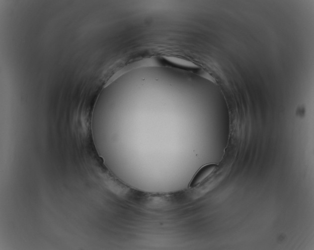 X0000092260285200710121345