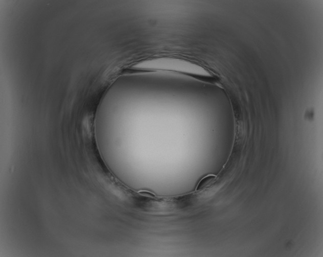 X0000092260286200710121345