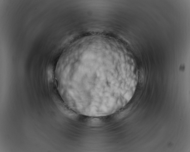 X0000092260287200710121345