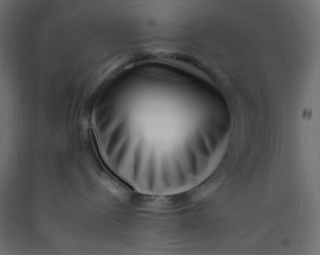 X0000092260288200710121345