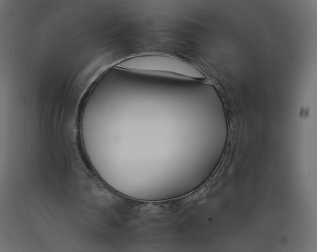 X0000092260290200710121345