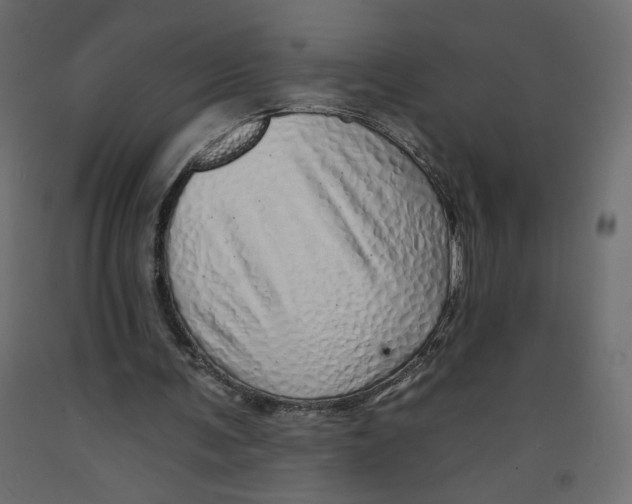 X0000092260291200710121345