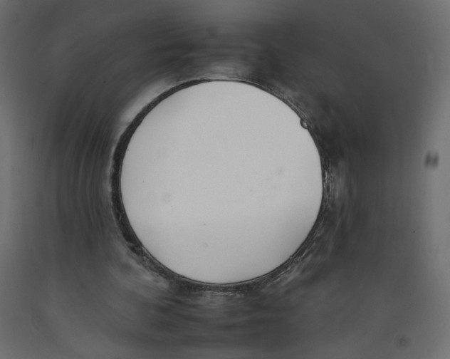 X0000092260292200710121345