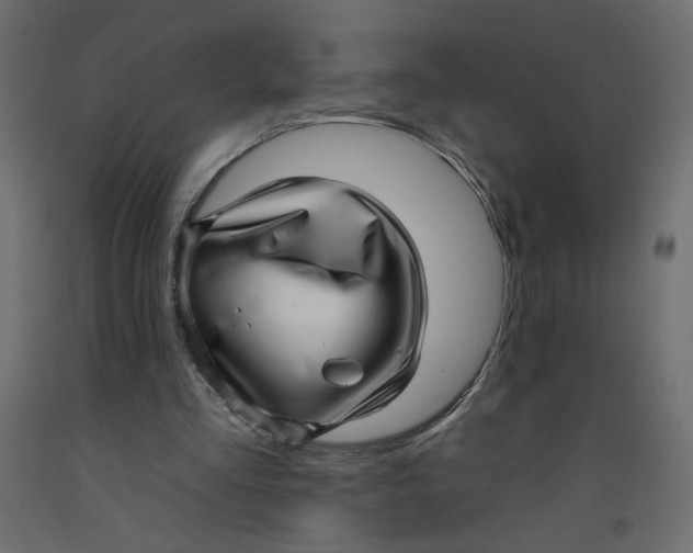 X0000092260293200710121345