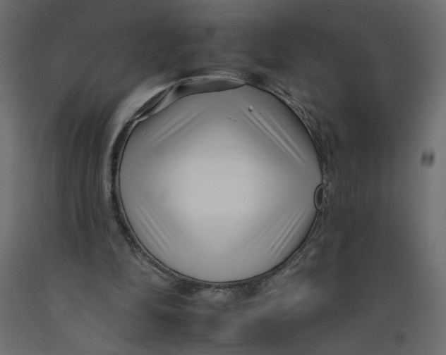 X0000092260294200710121345