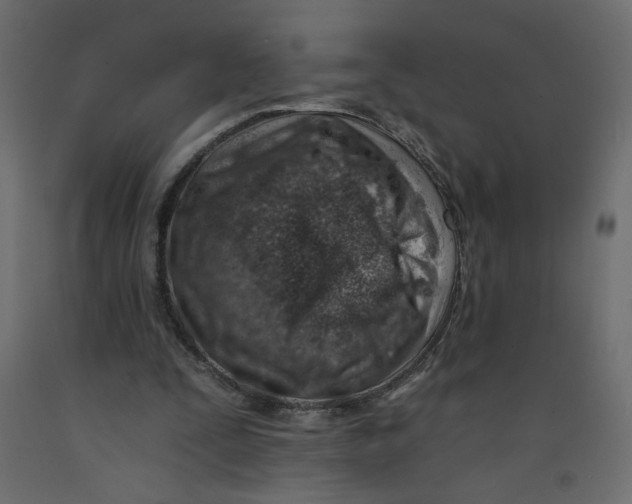 X0000092260295200710121345