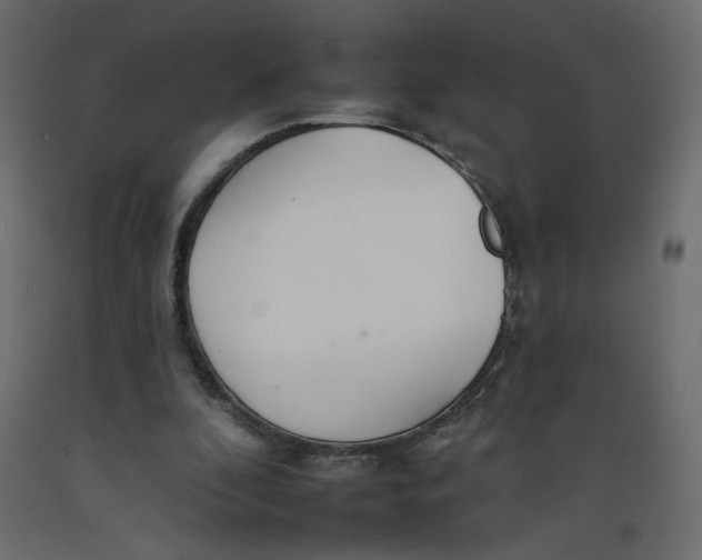 X0000092260296200710121345