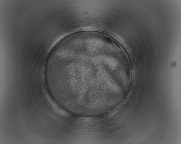 X0000092260297200710121345