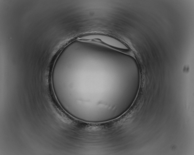 X0000092260299200710121345