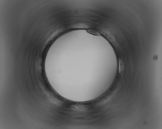 X0000092260300200710121345