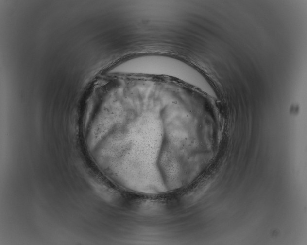 X0000092260303200710121345