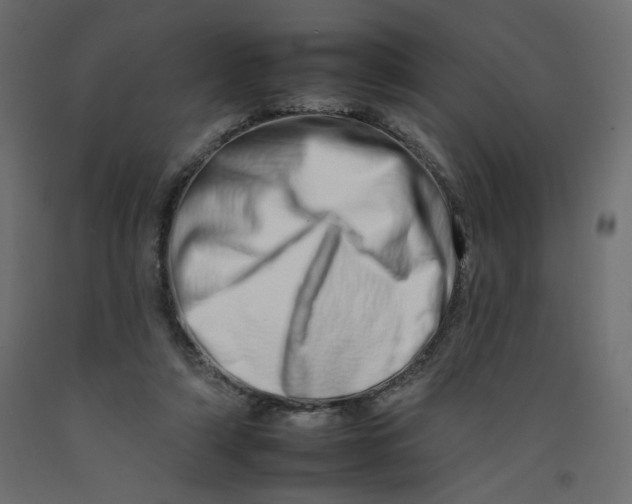 X0000092260306200710121345