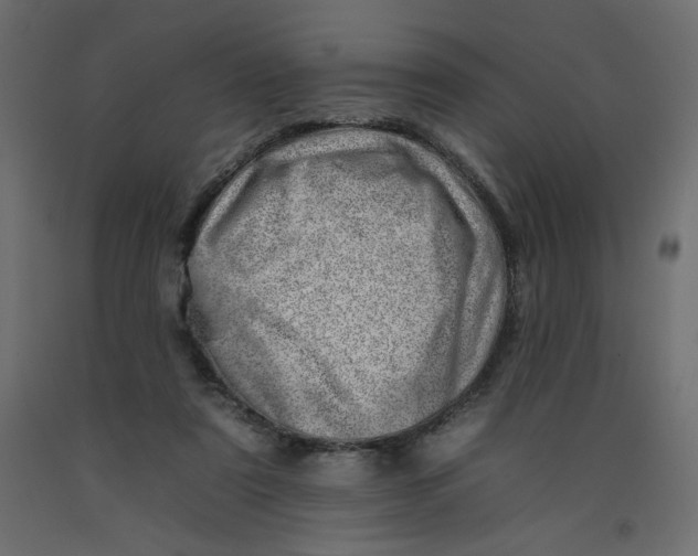 X0000092260307200710121345