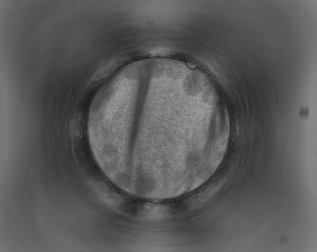 X0000092260311200710121345