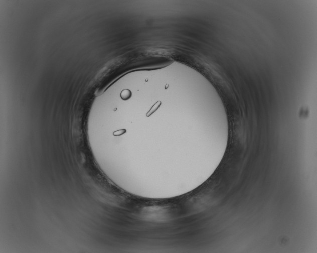 X0000092260312200710121344