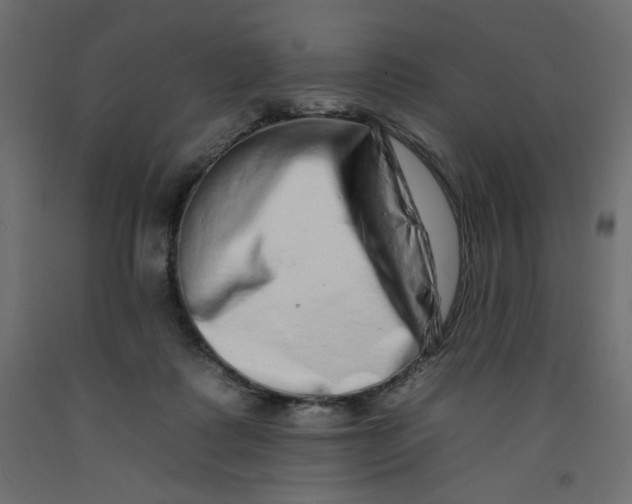 X0000092260315200710121344