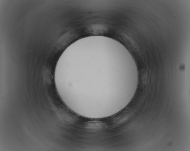 X0000092260316200710121344