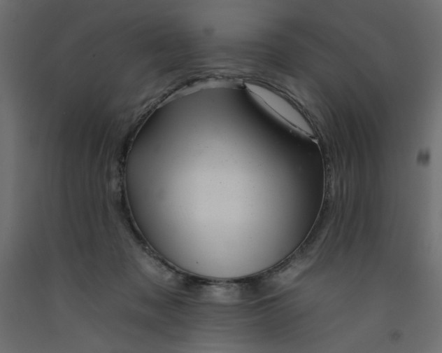 X0000092260317200710121344