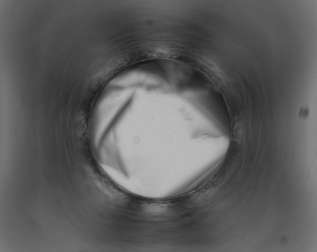 X0000092260318200710121344