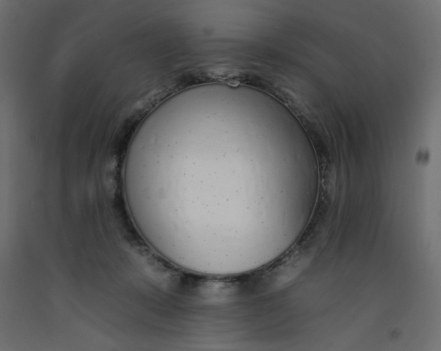 X0000092260319200710121344