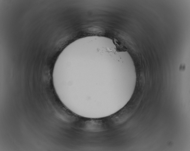 X0000092260320200710121344