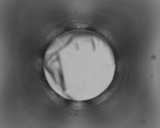 X0000092260321200710121344