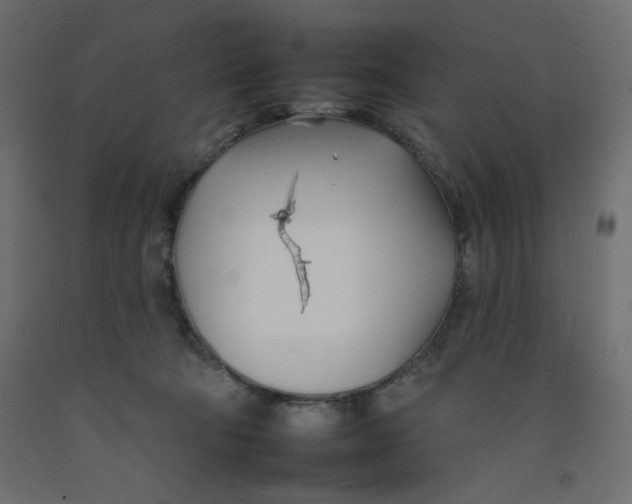 X0000092260322200710121344