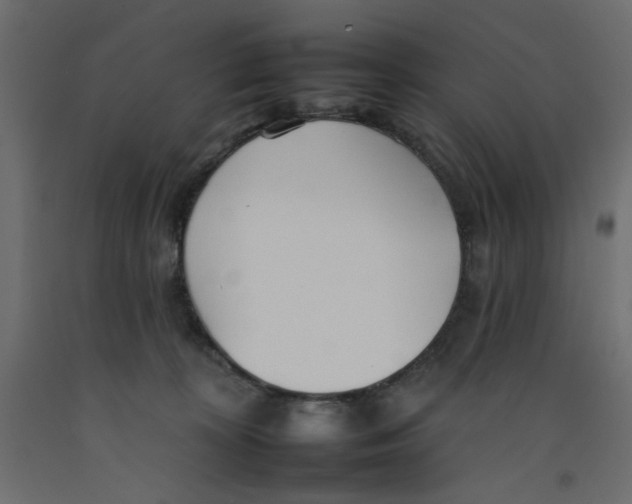 X0000092260324200710121344