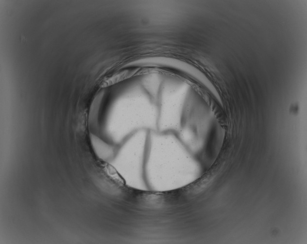 X0000092260325200710121344