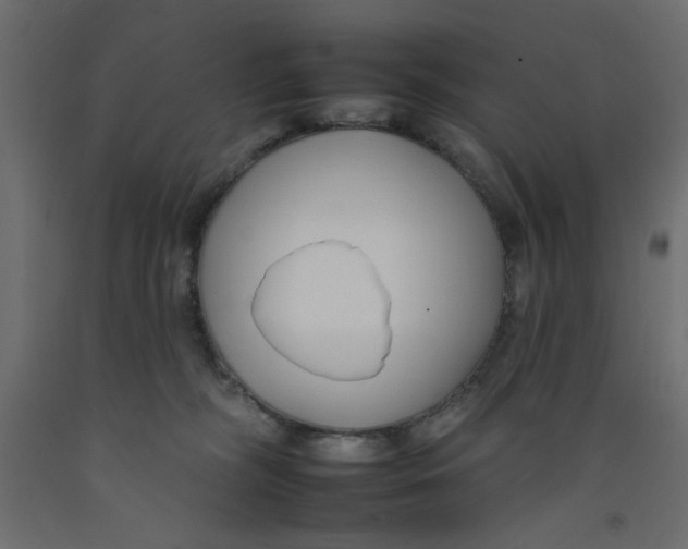 X0000092260326200710121344