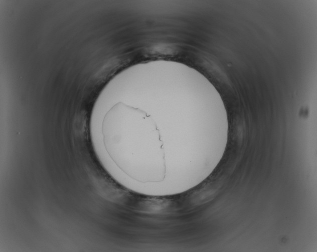 X0000092260328200710121344