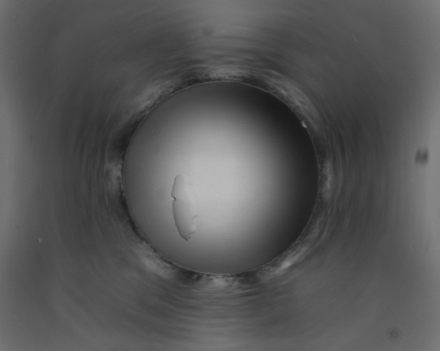 X0000092260329200710121344